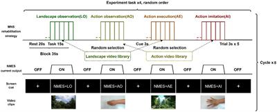 Cortical activation of neuromuscular electrical stimulation synchronized mirror neuron rehabilitation strategies: an fNIRS study